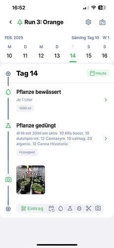 Growreport Bild 7