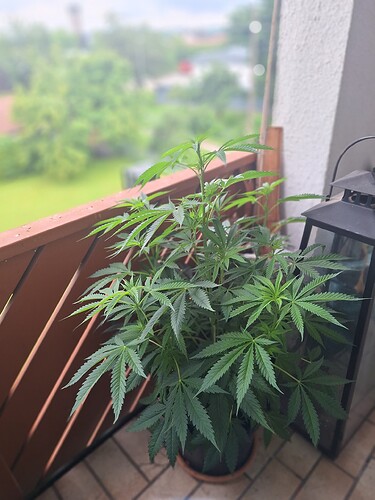 Growreport Bild 17