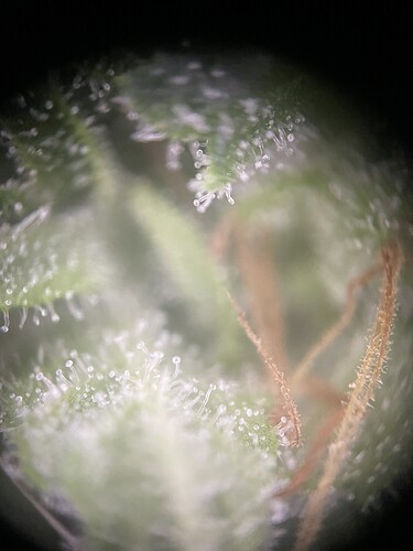 Growreport Bild 7
