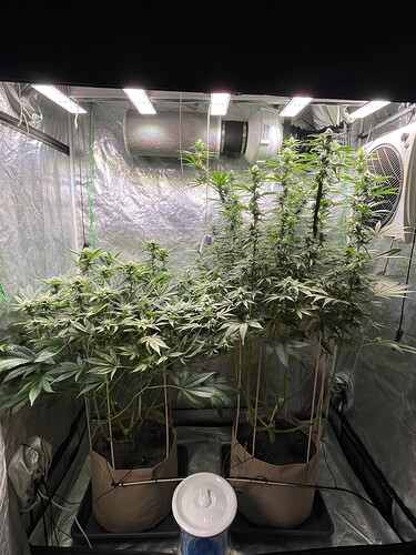 Growreport Bild 1
