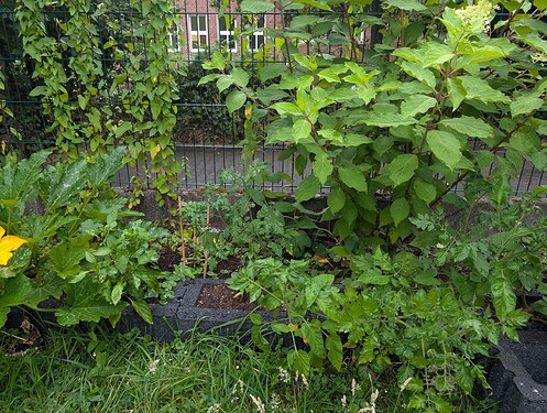Growreport Bild 22