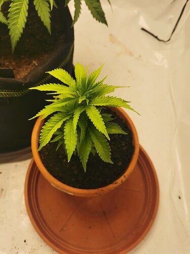 Growreport Bild 12