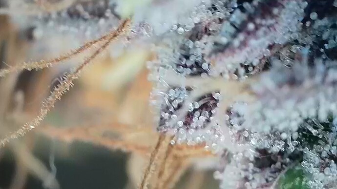 Growreport Bild 10