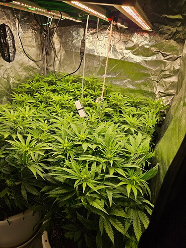 Growreport Bild 9