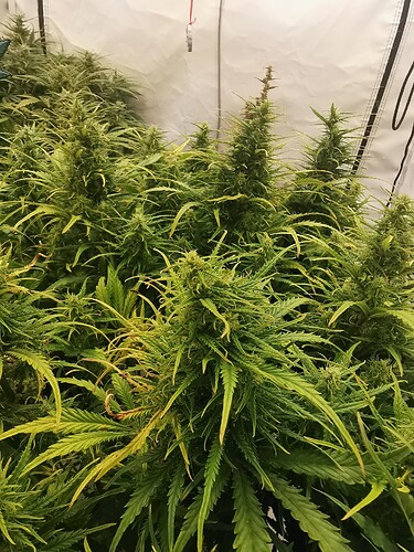 Growreport Bild 2