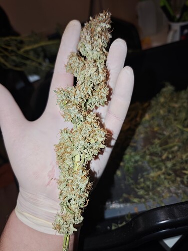 MVIMG_20251209_173354