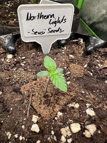 Growreport Bild 7