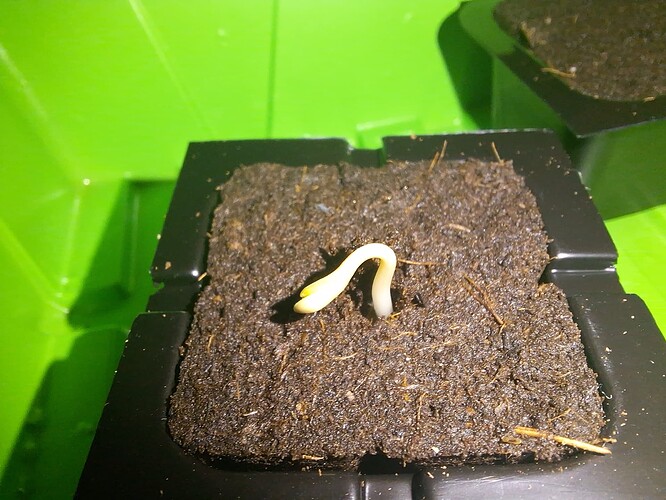 Growreport Bild 21