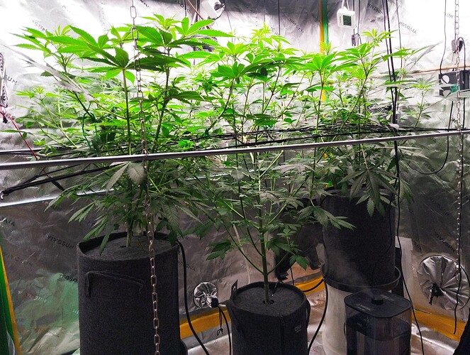 Growreport Bild 2