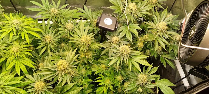 Growreport Bild 8
