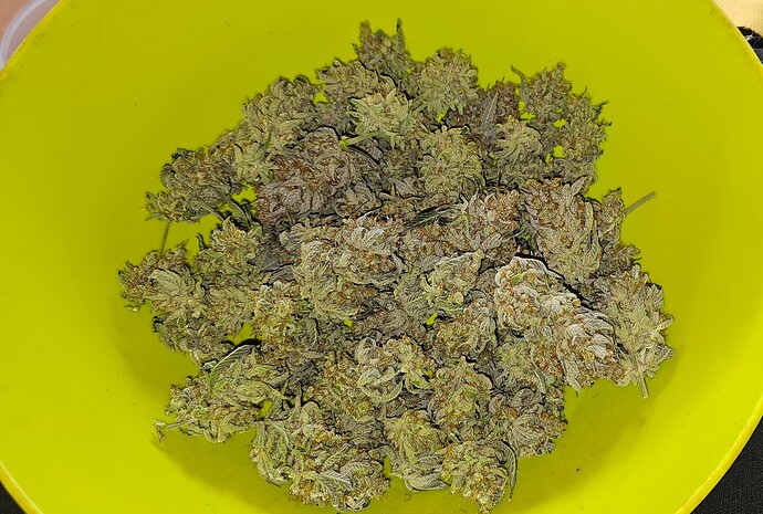 Growreport Bild 46
