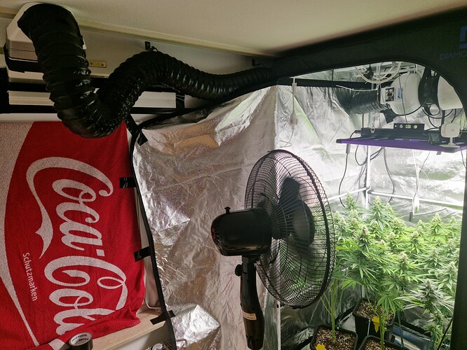 Growreport Bild 1
