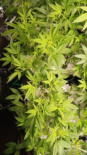 Growreport Bild 8