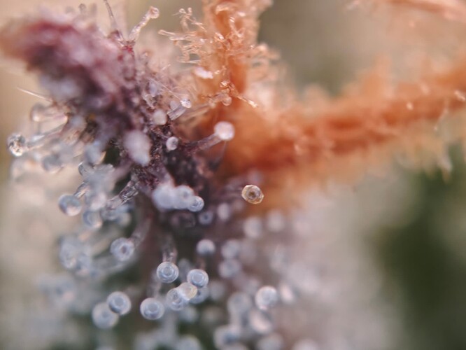 MVIMG_20251125_180201