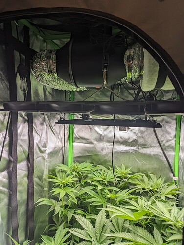 PXL_20240408_181607439_Original