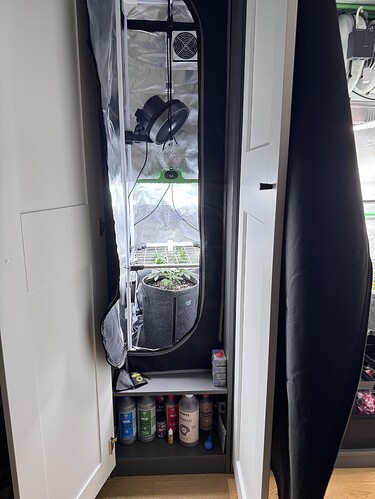 Growreport Bild 36
