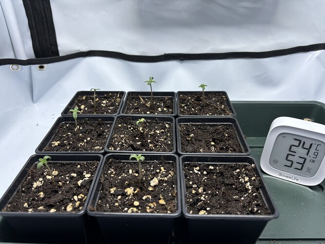 Growreport Bild 7