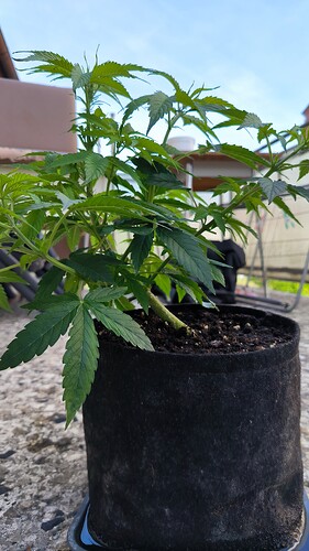 Growreport Bild 15