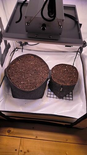 Growreport Bild 2