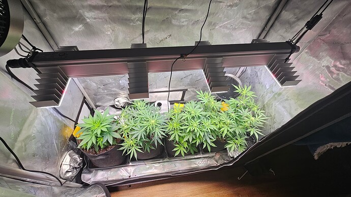 Growreport Bild 36