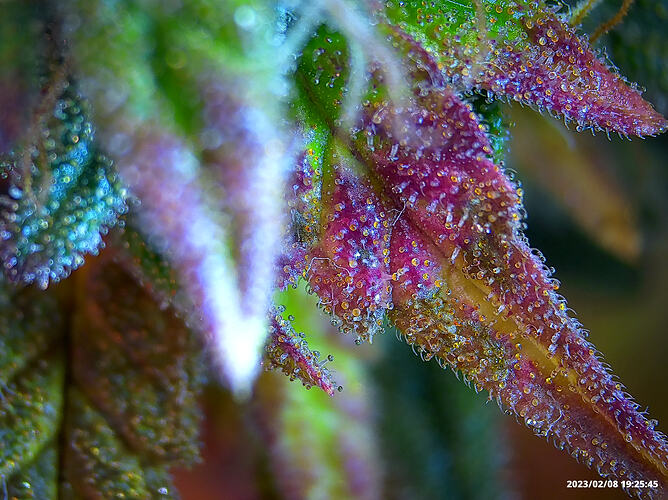 Growreport Bild 14