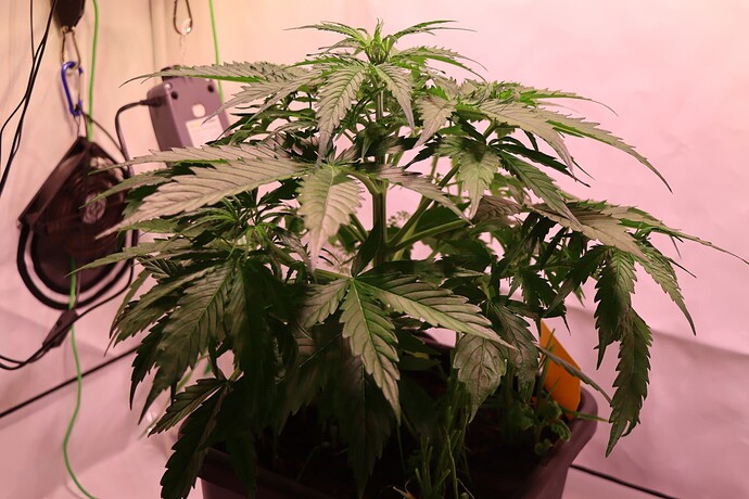 Growreport Bild 11