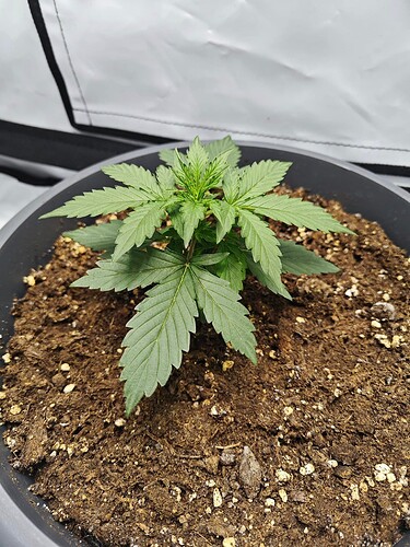 444483091_10220209262620544_5858509778772703995_n