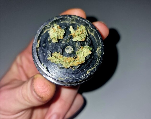 Growreport Bild 9