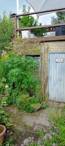 Growreport Bild 16