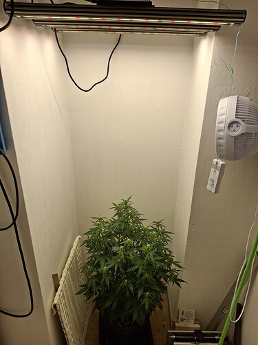 Growreport Bild 97