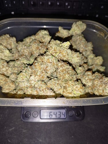 Growreport Bild 5