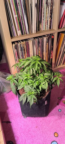 Growreport Bild 26