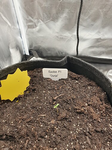 Growreport Bild 3