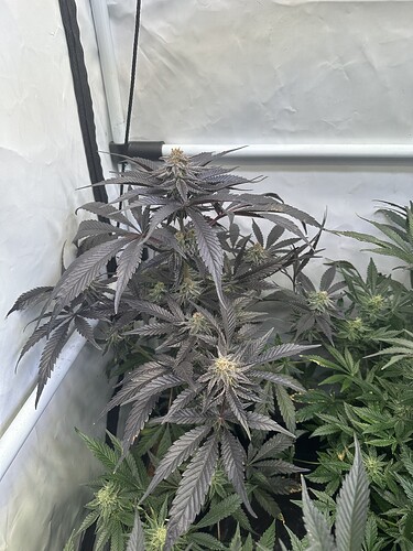 Growreport Bild 12