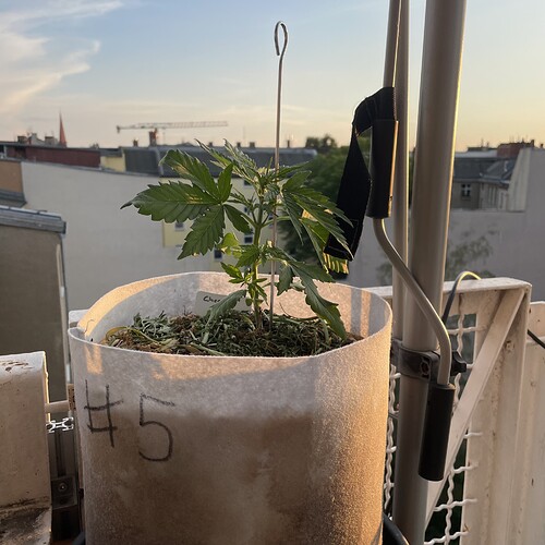 Growreport Bild 18