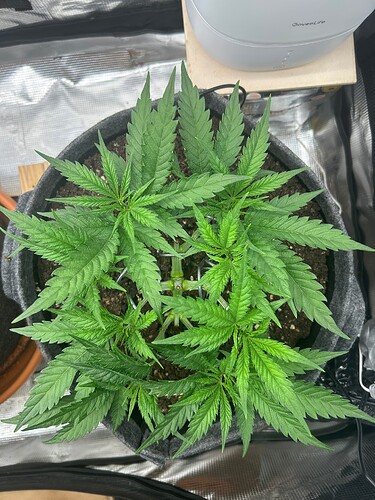 Growreport Bild 2