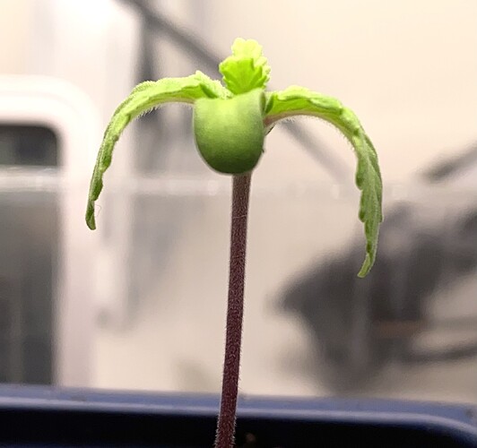 Growreport Bild 27