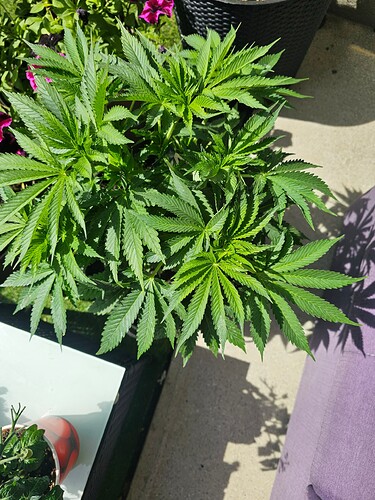 Growreport Bild 7