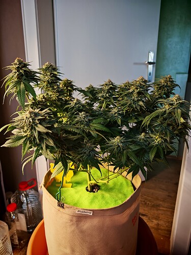 Growreport Bild 13