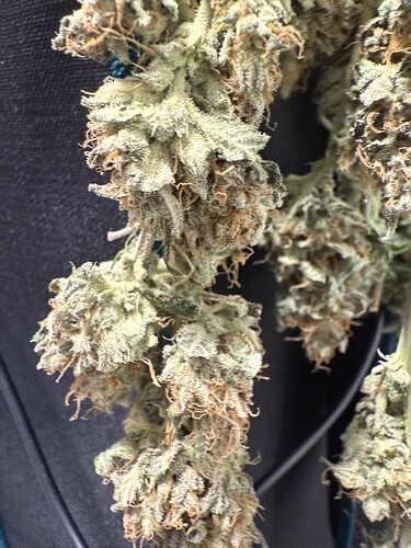 Growreport Bild 5