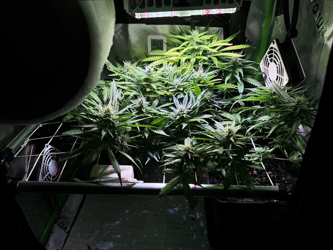 Growreport Bild 4