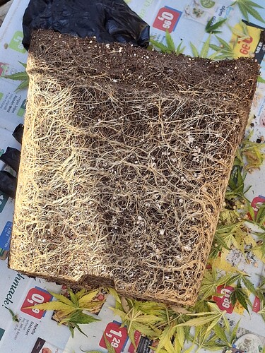 Growreport Bild 12