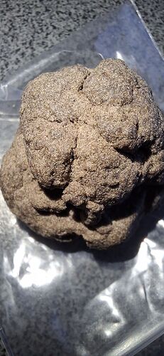 Growreport Bild 71