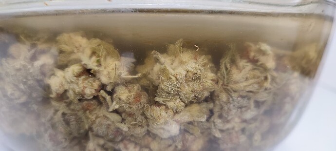 Growreport Bild 65