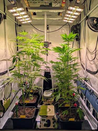Growreport Bild 4