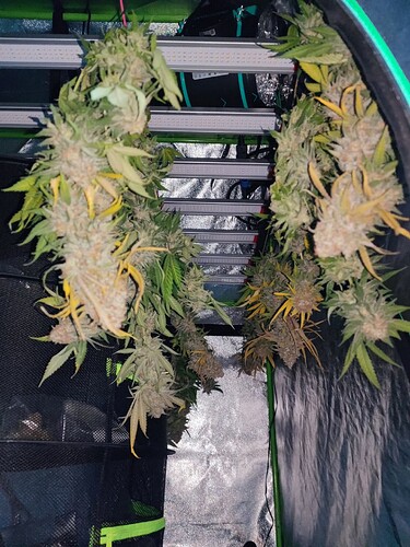 Growreport Bild 47
