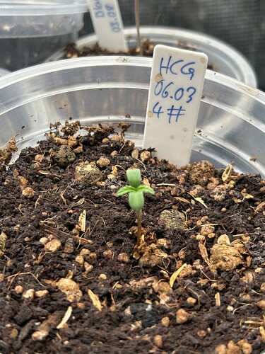 Growreport Bild 23