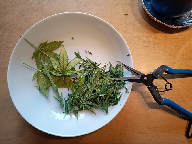 Growreport Bild 12