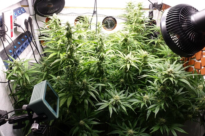 Growreport Bild 7