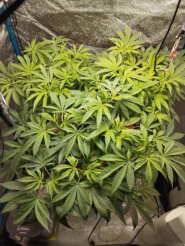 Growreport Bild 8